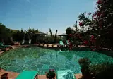 El Vino foto 3