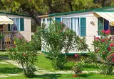 Arena Stupice Campsite foto 7