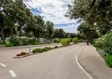 Strasko foto 19