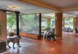 Albergo Il Picchio foto 22