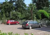 Olivo foto 11