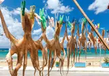 Kreta op het gemak foto 20