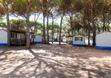 Pineta Sul Mare Camping Village foto 4