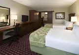Rosen Inn at Pointe Orlando foto 5