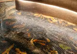 Figueira by The Beautique Hotels foto 30