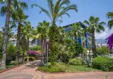 Fly & Go Gardenia Hotel foto 29