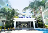 Anesis foto 1