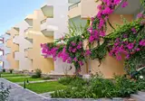 Dedalos Beach Hotel foto 24