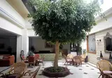 Avlida foto 5