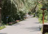 Ali Bey Park Manavgat & Ali Bey Club Manavgat foto 13