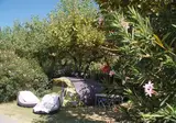 Camping L Etoile D Argens foto 26