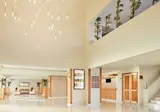 Albufeira Sol Hotel & Spa foto 15