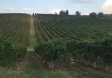 SHG Hotel Bologna foto 10