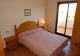 Alegria Pino Alto foto 4