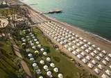 Paloma Grida foto 2
