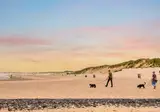 Dormio Strand Resort Nieuwvliet-Bad foto 35
