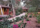 Hôtel Les Bougainvillées Saly foto 14