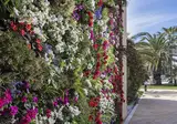 Pomegranate Wellness Spa Hotel foto 27