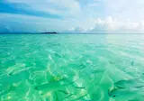 Fihalhohi Maldives foto 16
