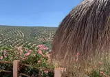 Casa Pura Vida foto 2