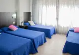 Safari foto 4