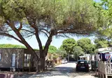 Camping Le Méditerranée foto 11
