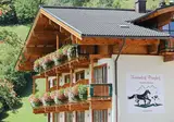 Feriendorf Ponyhof foto 13