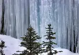 Winterbelevenis Canada op het gemak foto 14