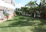 Taboga foto 12