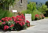 Villa Borgo San Pietro foto 12