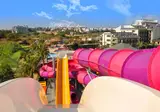 Dream World Palace foto 27