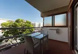 El Paseo foto 5