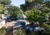 Pascalounet foto 23