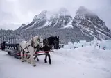 Winterbelevenis Canada op het gemak foto 8