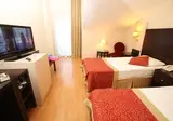 Viking Garden Hotel & Spa foto 6