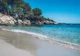 Iberostar Waves Pinos Park foto 5