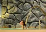 Marigold Termal & Spa foto 19