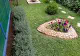 Sindibad foto 4