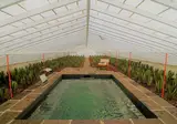 Hotel Herdade do Ananas foto 6
