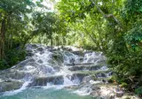 Sandals Dunn's River foto 28