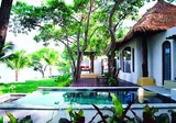 Paradee foto 13