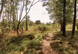 Park De Zeegser Duinen foto 9