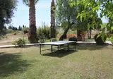 Villa dei Papiri foto 7