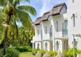 Ambre Mauritius foto 19