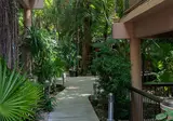 Tukan Hotel Playa del Carmen foto 18