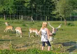 Camping Vestbirk foto 19