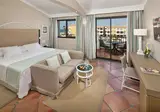 Palacio de Sancti Petri Gran Melia foto 24