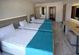 Hotel Palmea foto 13
