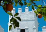 Cortijo Torre de la Reina foto 23