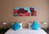 Eden Beach Resort Bonaire foto 1